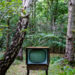 Old Television in Woods deserve