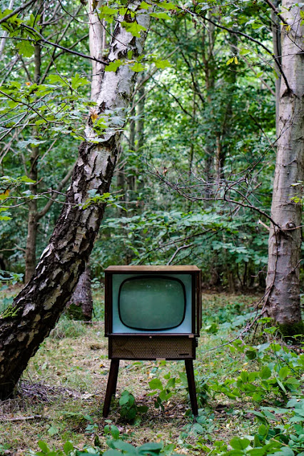 Old Television in Woods deserve