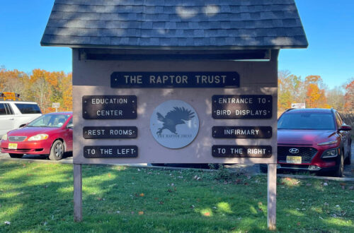 The Raptor Trust – Bird Rehabilitation and Education Center