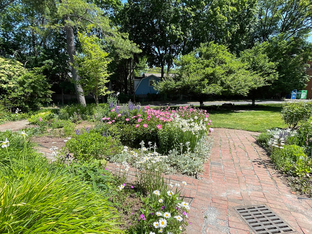 Flowers at Avis Campbell Gardens, Montclair, New Jersey