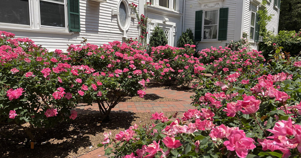 Frelinghuysen Arboretum house and gardens