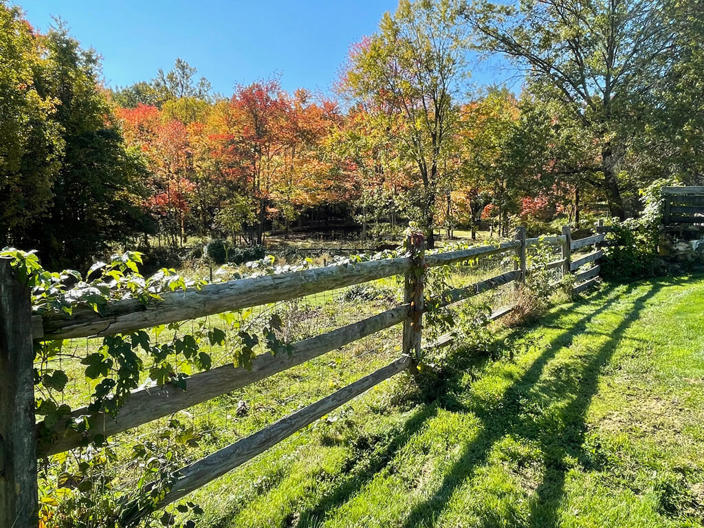 Fosterfields Living Historical Farm, Morristown, New Jersey