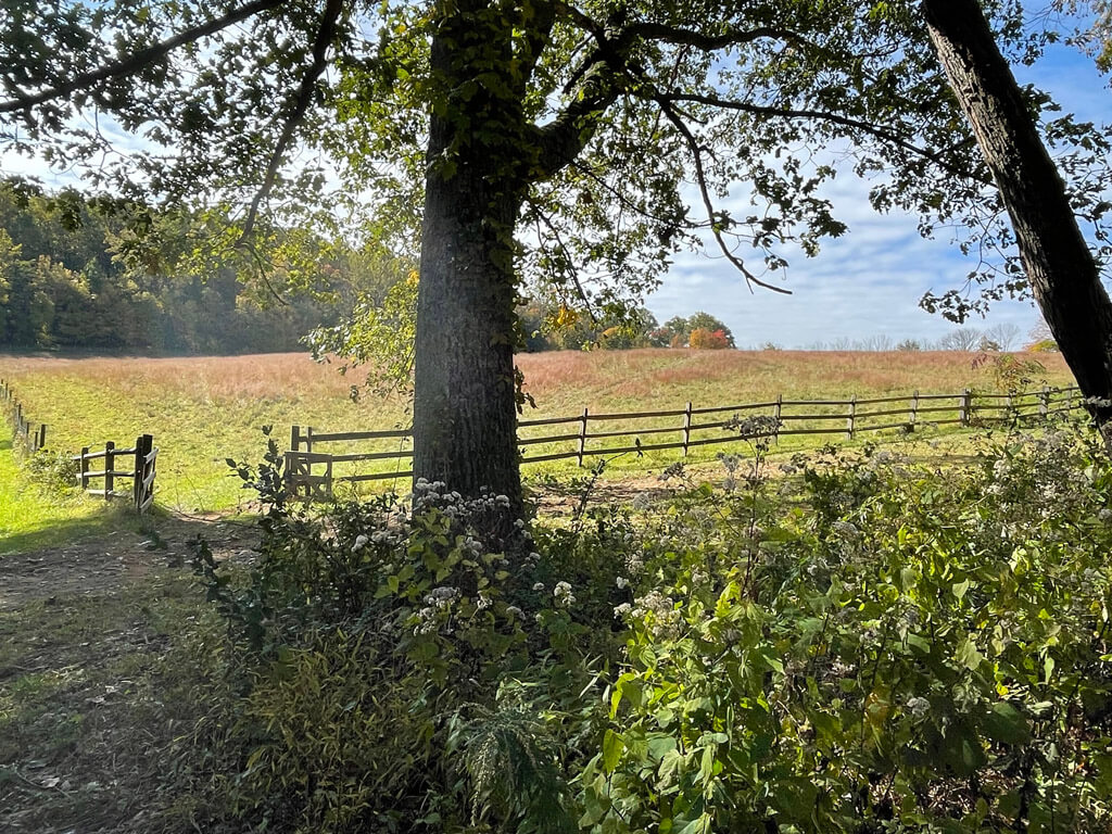 Fosterfields Living Historical Farm, Morristown, New Jersey