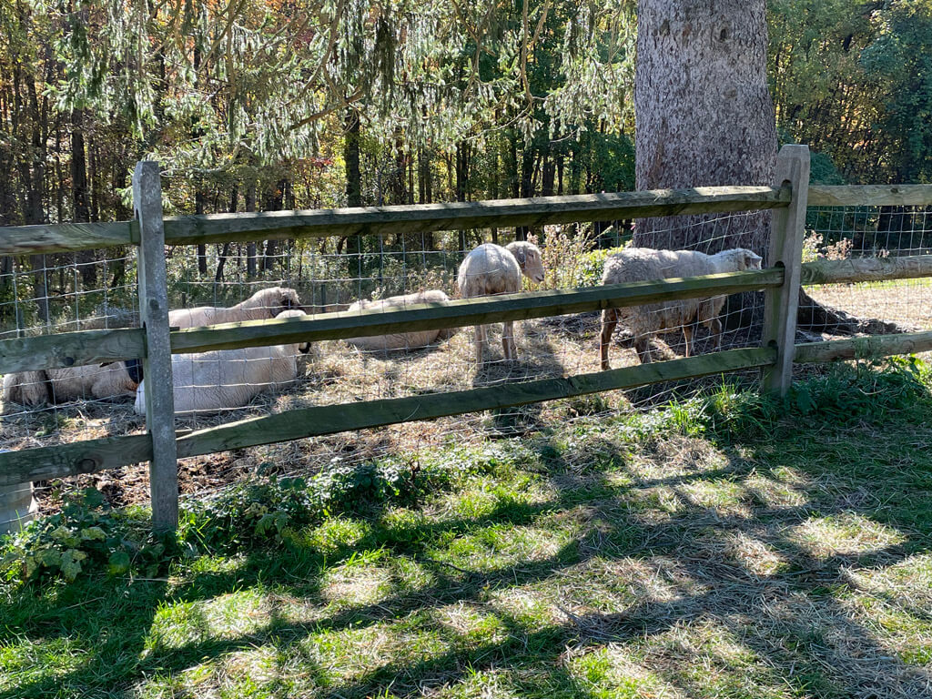 Fosterfields Living Historical Farm, Morristown, New Jersey