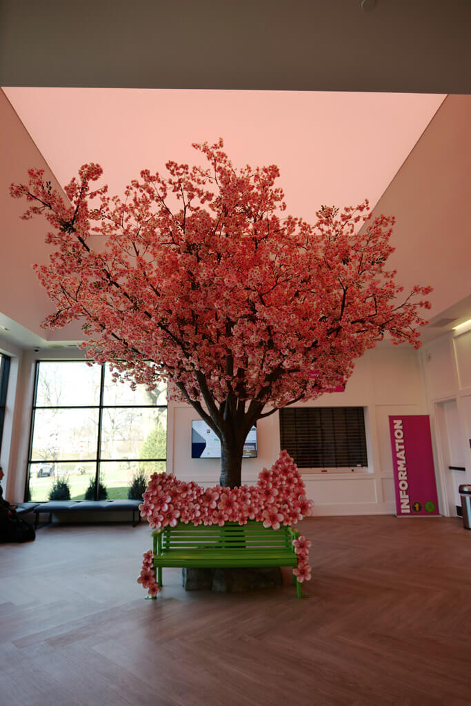 Cherry Blossom Welcome Center at Branch Brook Park