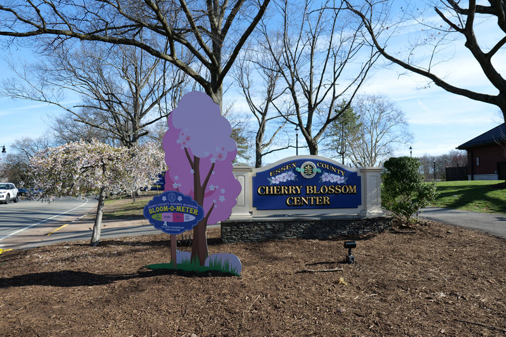 Cherry Blossom Welcome Center at Branch Brook Park