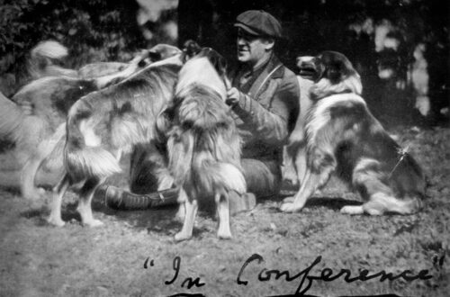 Sunnybank Collies With Albert Payson Terhune