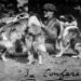 Sunnybank Collies With Albert Payson Terhune