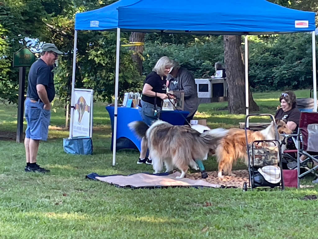 Sunnybank Collies With Albert Payson Terhune